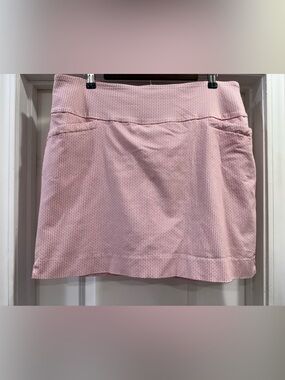 S.C. & Co. Women’s Skort Skirt Size XXL Golf Tennis Pickleball XXL Activewear